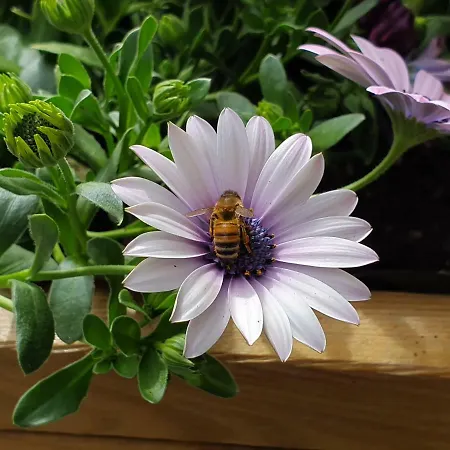 Il Torchio Сasa de vacaciones