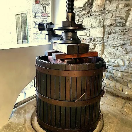 Casa de Férias Il Torchio *